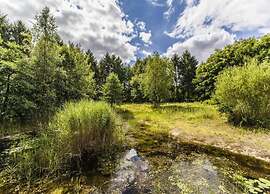 Tranquil Retreat in Appelscha