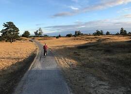 Tranquil Retreat in Appelscha