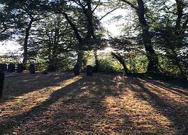 Tranquil Retreat in Appelscha