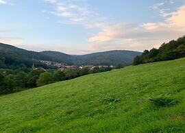 Cosy Holiday Home in the Harz Region