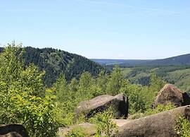 Cosy Holiday Home in the Harz Region
