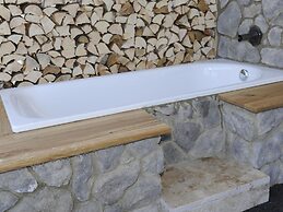 Chalet in Wagrain With Sauna and Swimming Pond