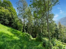 Cosy Holiday Home at the Wildkogel