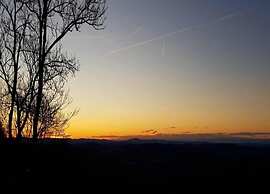 Zenting Hillside Haven