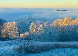 Zenting Hillside Haven