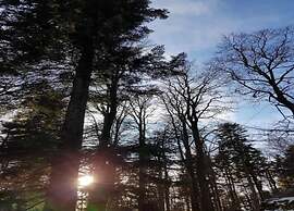 Ferienwohnung, Zenting