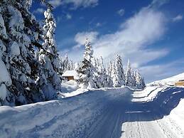 Beautiful Two-room Apartment in Hollersbach