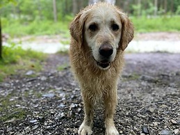 Beautiful Two-room Apartment in Hollersbach