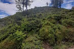 Sunny Apartment in Wagrain