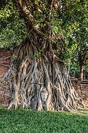 Baan Mee Suk Ayutthaya - Hostel