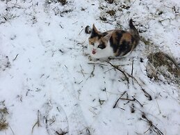 Family-friendly Holidays at Landhaus Obergude