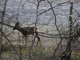 Delightful Apartment in Goslar With Garden and Terrace