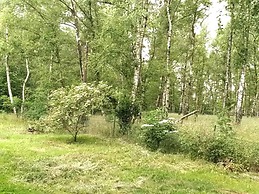 Delightful Apartment in Goslar With Garden and Terrace