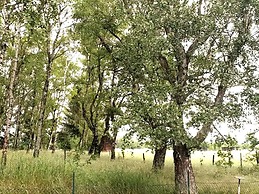 Delightful Apartment in Goslar With Garden and Terrace