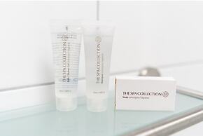 Luxury Villa With Wellness