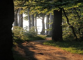 Peaceful Escape in Neu Karin