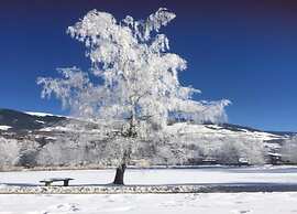 Apartment in a Quiet Location