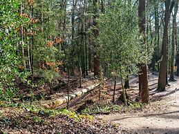 Nice Holiday Home in Appelscha With Garden