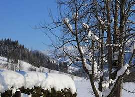 Comfortable Holiday Home in Kleinarl