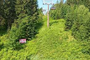 Sunny Apartment in Wagrain