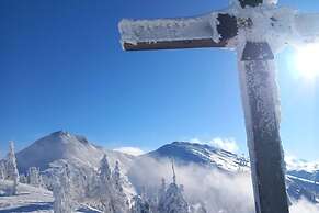 Sunny Apartment in Wagrain