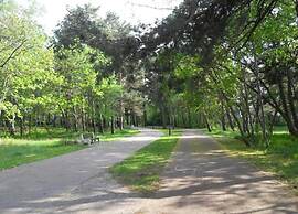 Apartment in Gdynia Near Baltic Beach