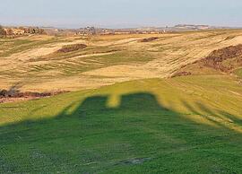 Apartment in Asciano With Pool