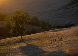 Apartment in Asciano With Pool