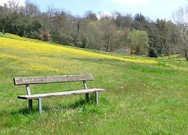 Apartment in Asciano With Pool