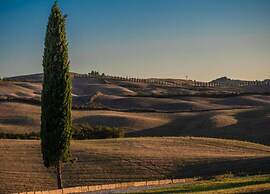 Apartment in Asciano With Pool