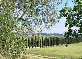 Apartment in Asciano With Pool