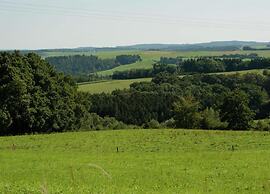 Rustic Holiday Home in Ortignano