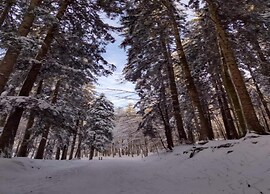 Rustic Holiday Home in Ortignano