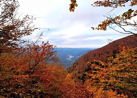 Rustic Holiday Home in Ortignano