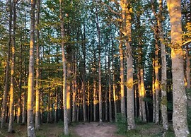 Rustic Holiday Home in Ortignano