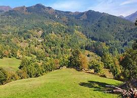 Rustic Holiday Home in Ortignano