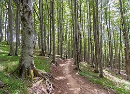 Rustic Holiday Home in Ortignano