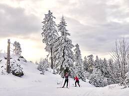 Apartment in Langdorf Near ski Trails