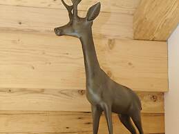 Chalet in Wagrain With Sauna and Swimming Pond