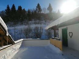 Apartment in Dienten With Mountain Views