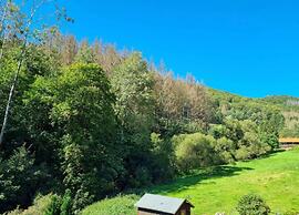 Quiet and Cosy Holiday Home in Herzberg
