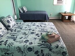 Beach Front On The Bay In Our Rustic, Pet Friendly Cottage 4 Bedroom C