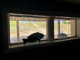 Beach Front On The Bay In Our Rustic, Pet Friendly Cottage 4 Bedroom C