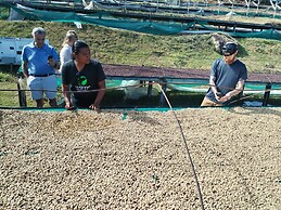 Campestre House - Hostel