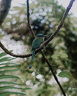 Natüra Hotel Monteverde