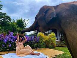 3pok resort Maewang jinxing