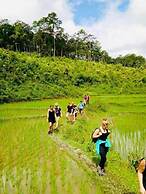 3pok resort Maewang jinxing