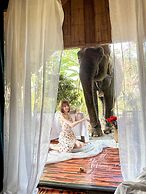 3pok resort Maewang jinxing