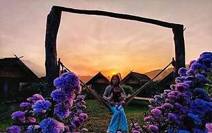 3pok resort Maewang jinxing