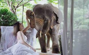 3pok resort Maewang jinxing